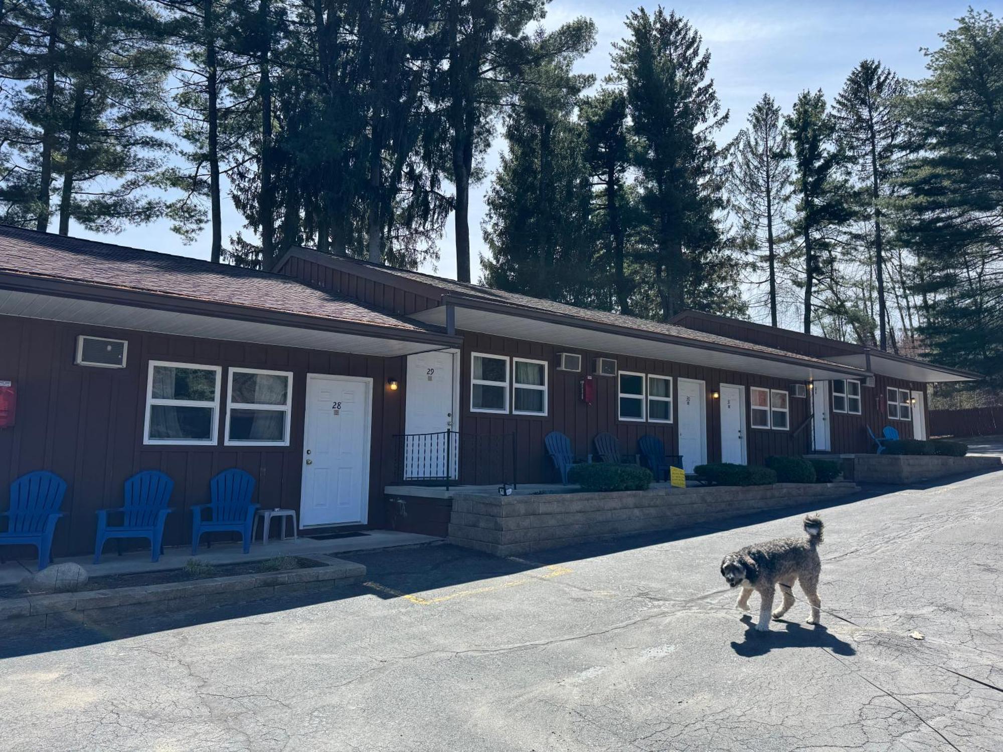 Mohican Resort Motel, Conveniently Located To All Lake George Attractions Queensbury Exterior photo